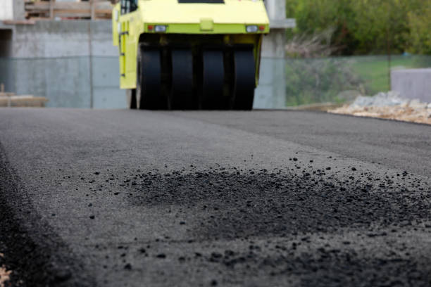 Best Professional Driveway Pavers  in Elfers, FL