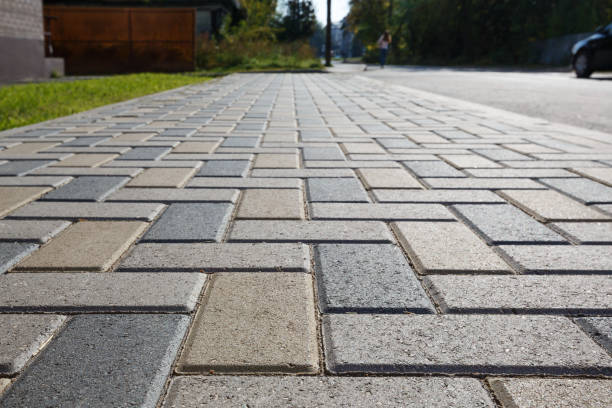 Best Concrete Paver Driveway  in Elfers, FL