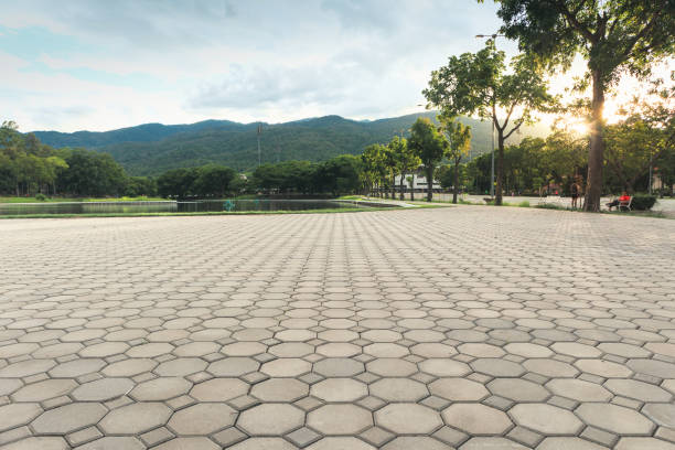  Elfers, FL Driveway Pavers Pros